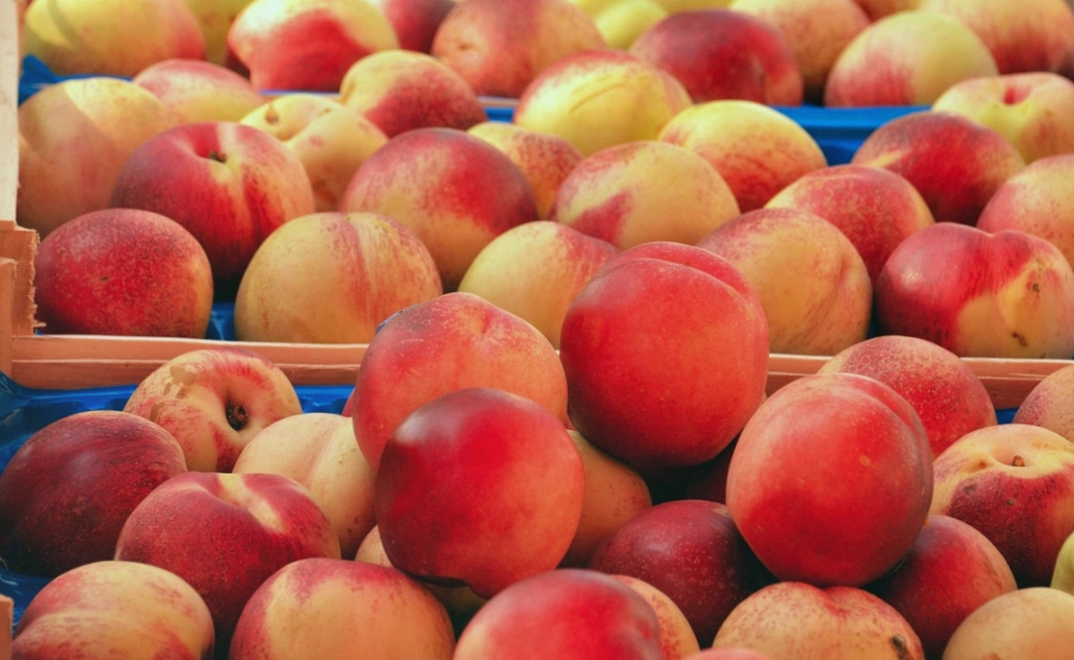 Winter produce at a New Zealand market